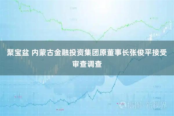 聚宝盆 内蒙古金融投资集团原董事长张俊平接受审查调查