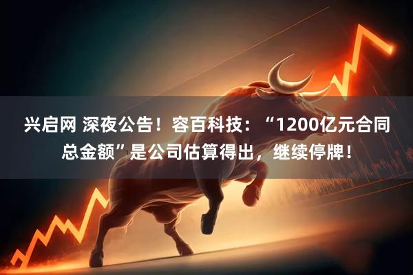 兴启网 深夜公告！容百科技：“1200亿元合同总金额”是公司估算得出，继续停牌！