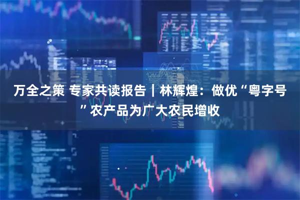 万全之策 专家共读报告｜林辉煌：做优“粤字号”农产品为广大农民增收