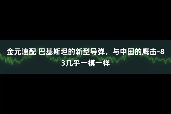 金元速配 巴基斯坦的新型导弹，与中国的鹰击-83几乎一模一样